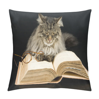 Personality  Cat, Book And Glasses Pillow Covers