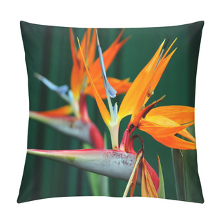 Personality  Strelitzia, The Bird Of Paradise Flower Pillow Covers
