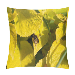Personality  Yellow Flowers Beeing Pollinated By Insects. Pillow Covers