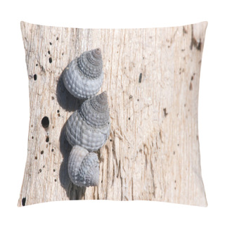 Personality  Beaded Periwinkle Shells Pillow Covers
