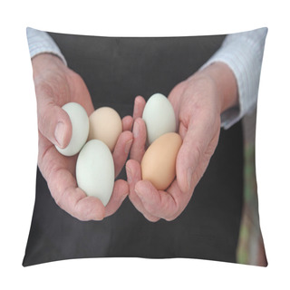 Personality  Organic Araucana Eggs Pillow Covers