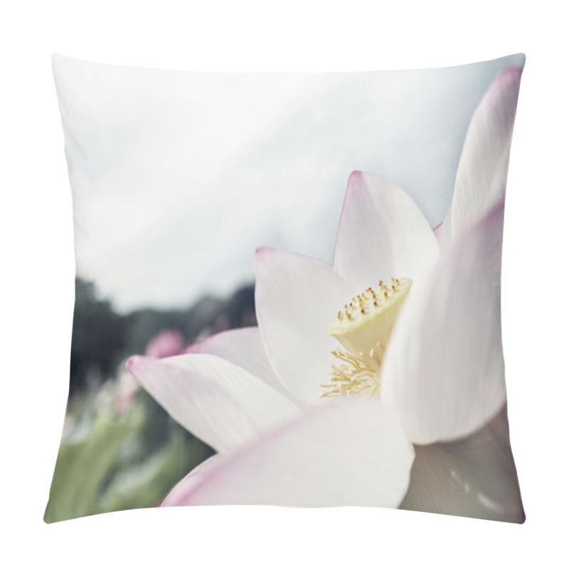 Personality  Pink lotus flower pillow covers