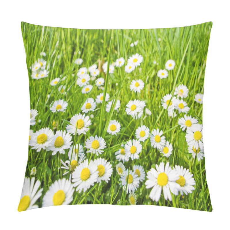 Personality  Daisies pillow covers