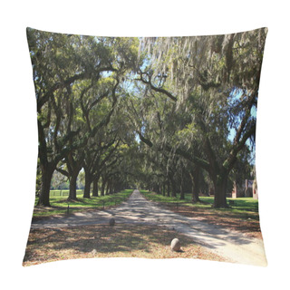 Personality  Live Oaks Pillow Covers