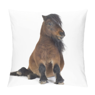 Personality  Shetland Pony Pillow Covers