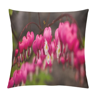 Personality  Bleeding Hearts Pink Flowers Close Up  Pillow Covers