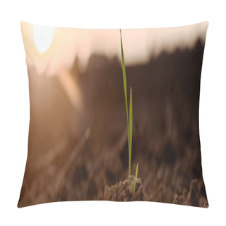 Personality  Panoramic Shot Of Small Green Plant With Leaves  Pillow Covers