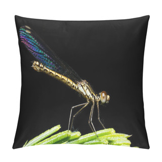 Personality  Dragonflies Rainbow Wings On Black Pillow Covers