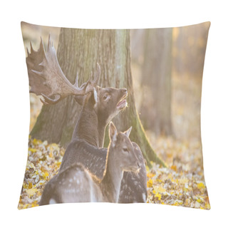 Personality  Deer With Doe Pillow Covers