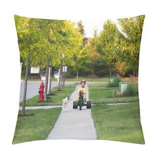 Personality  Walking The Dog With Tricycle In The Neighborhood Pillow Covers