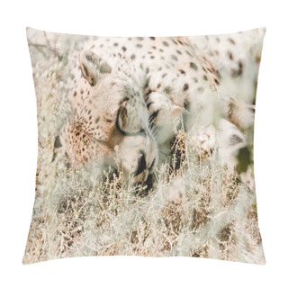 Personality  Selective Focus Of Leopard Sleeping On Grass Near Cage  Pillow Covers
