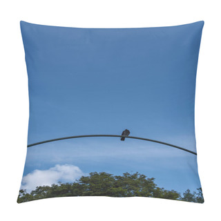 Personality  Low Angle View Of Pigeon On Arch With Blue Sky And Trees At Background Pillow Covers