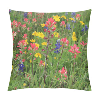 Personality  Indian Paintbrush And Texas Wildflowers Pillow Covers