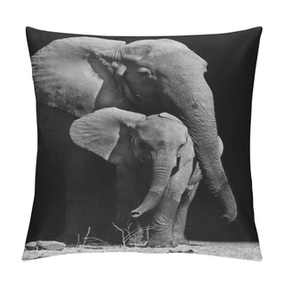 Personality  Mother Elephant And Baby Pillow Covers