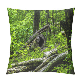 Personality  In A Lush, Overgrown Forest, A Fallen Tree Becomes A Natural Sculpture, Embraced By Vibrant Greenery. A Testament To Nature's Cycle, It Rests Gracefully, Harmonizing With The Verdant Surroundings Pillow Covers
