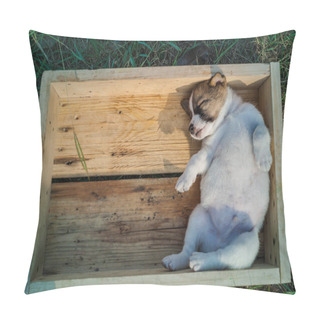 Personality  Thai Bangkaew Dog Puppies Are In The Wooden Box On The Grass  Pillow Covers