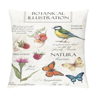 Personality  Hand-drawn Botanical Illustration In Vintage Style. Vector Set Of Watercolor Hand Drawn Berries, Herbs, Titmouse, Butterflies, Raspberry And Pink Flower Isolated On Vintage Background Pillow Covers