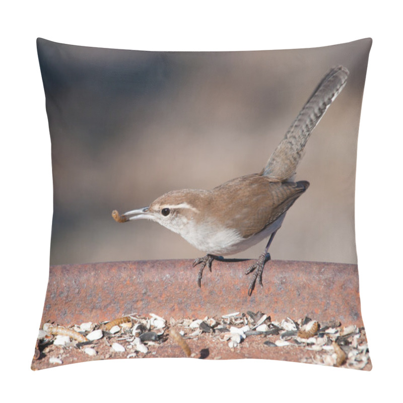Personality  Bewick's Wren Perched On A Feeding Station In Winter, With A Mealworm In His Beak Pillow Covers