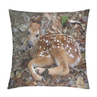 Personality  White-tailed Deer Fawn Pillow Covers