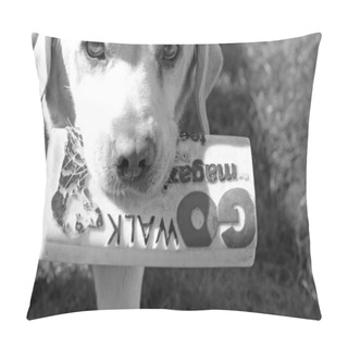 Personality  Labrador Dog Pillow Covers