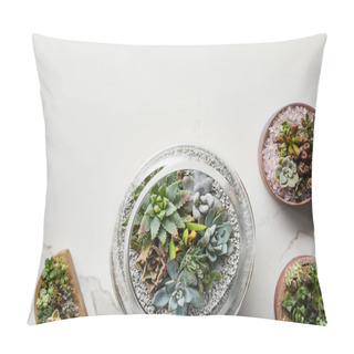Personality  Close Up View Of Green Succulents In Flowerpots On Marble Background Pillow Covers