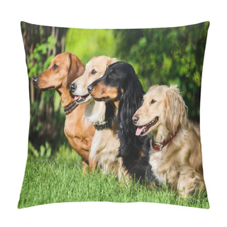 Personality  Profile Shot Of Four Dachshunds Sitting In Row On Grass Wathcing Their Master Pillow Covers