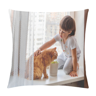 Personality  Toddler Boy Sits On Windowsill And Feeds Cute Ginger Cat With Green Grass From Flower Pot. Little Child With Fluffy Pet. Specially Grown Plant For Domestic Animal. Pillow Covers