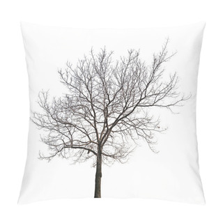 Personality  Tree Without Leaves Isolated On White Pillow Covers