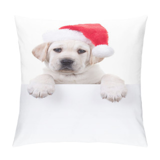 Personality  Christmas Banner Dog Pillow Covers
