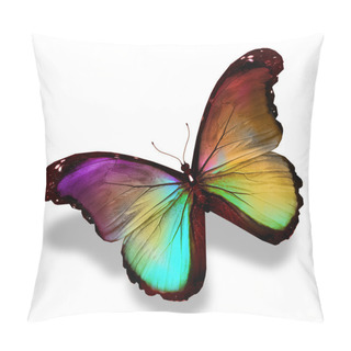 Personality  Dark Green Gold Violet Butterfly Morpho, Isolated On White Pillow Covers