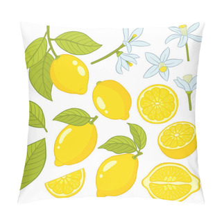 Personality  Set Of Elements Of A Lemon. Pillow Covers