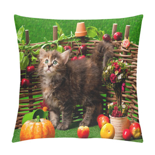 Personality  Cute Kitten Pillow Covers