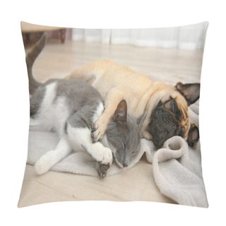 Personality  Adorable Pug And Cute Cat Pillow Covers