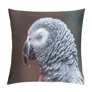 Personality  Close Up View Of Vivid Grey Exotic Fluffy Parrot With Closed Eye Pillow Covers