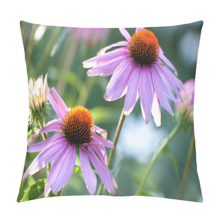 Personality Echinacea Flowers Pillow Covers