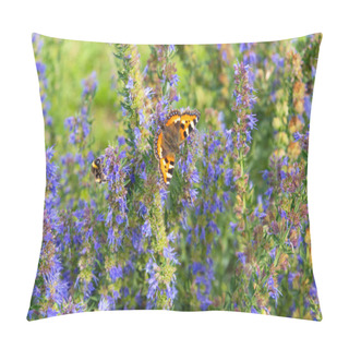 Personality  Beautiful Natural Summer Background - Aglais Urticae Butterfly On A Field Of Blooming Hyssop Officinalis. Pillow Covers