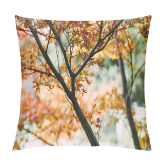 Personality  Tree Branches With Autumnal Orange Leaves In Park Pillow Covers