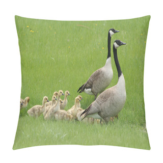 Personality  Two Adult Canada Geese With A Gaggle Of Goslings Pillow Covers