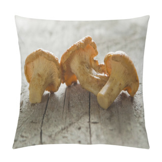 Personality  Mushrooms On A Wooden Floor Pillow Covers