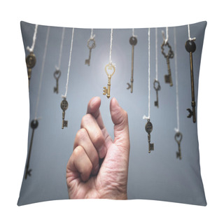 Personality  Choosing The Key To Success From Hanging Keys Concept Pillow Covers