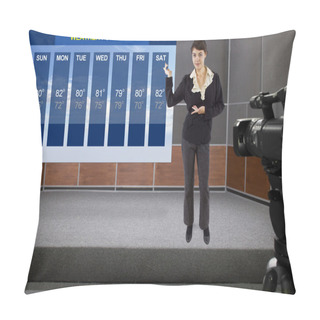 Personality  Woman On Stage With Weather Chart And Camera Pillow Covers