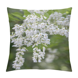 Personality  Cladrastis Kentukea Ornamental Flowers In Bloom, White Flowering Tree, Ornamental Branches Pillow Covers