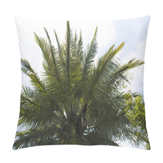 Personality  Palm Tree Against Blue Sky Pillow Covers