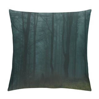 Personality  Creepy Beech Trees Forest In Jeseniky Mountains At Autumn. Gloomy Hilly Foggy Landscape, Tree Trunks. Jeseniky Mountains, Eastern Europe, Moravia.  Pillow Covers