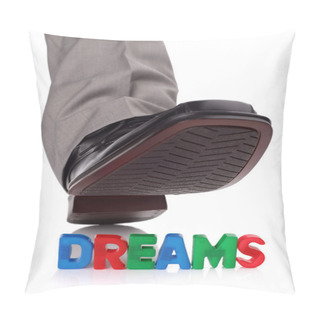 Personality  Treading On Someones Dreams Pillow Covers