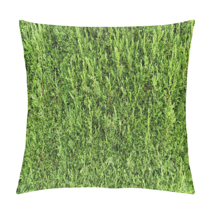 Personality  Green Thuja Background Pillow Covers