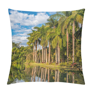 Personality  Peaceful Lakeside With Reflective Waters And Soaring Palm Trees Under A Clear Sunny Sky. Pillow Covers