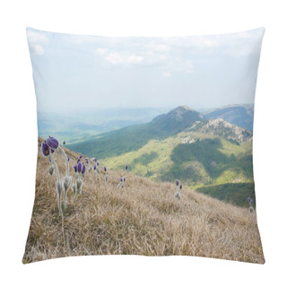 Personality  Spring Flowers In Mountains Pillow Covers