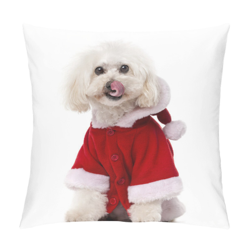 Personality  Poodle wearing a Santa coat (11 years old) in front of a white b pillow covers