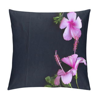 Personality  Pink Flowers Hibiscus Local Flora Of Asia Arrangement Flat Lay Postcard Style On Background Black Pillow Covers